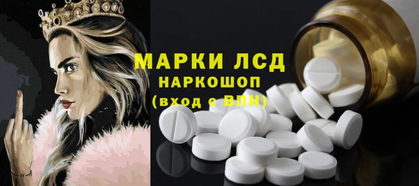 стаф Вяземский