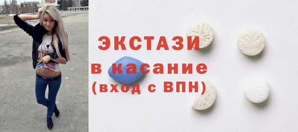 стаф Вяземский