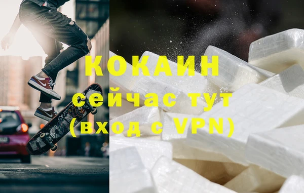 стаф Вяземский