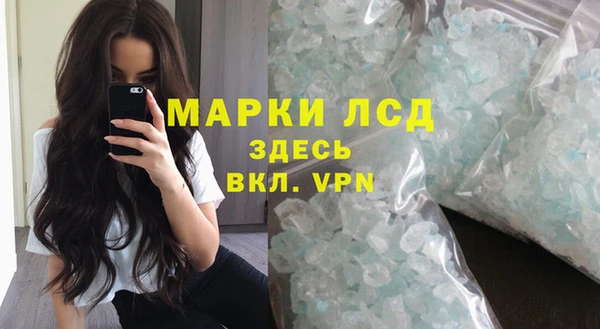 стаф Вяземский