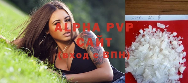 стаф Вяземский