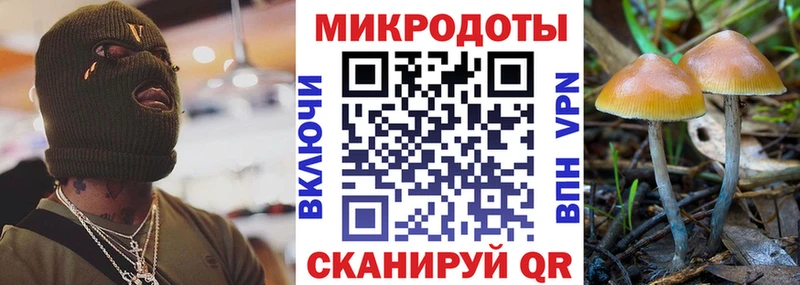Псилоцибиновые грибы мухоморы  купить  цена  Владивосток 